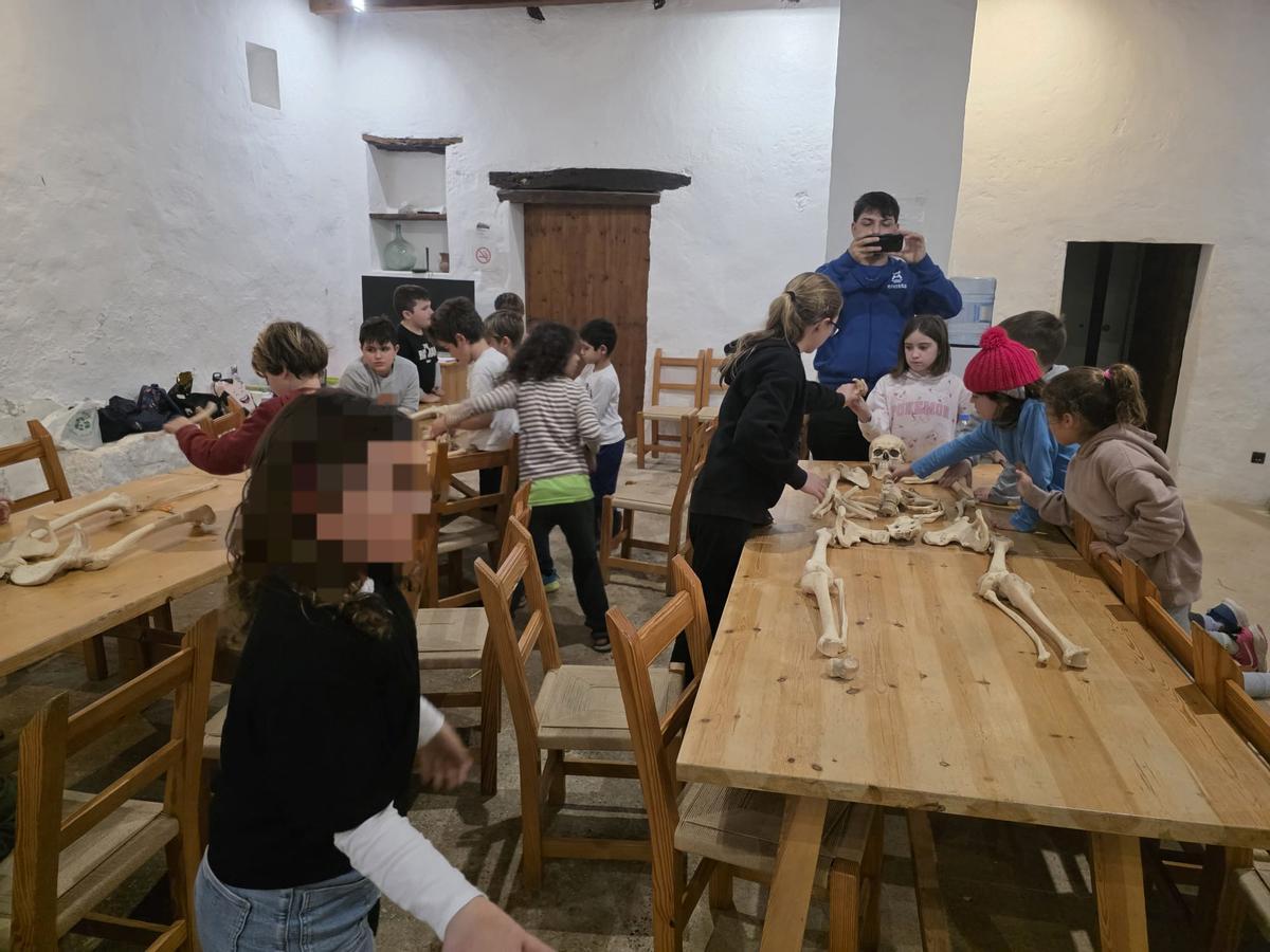 Estas son las imágenes del campamento de arqueología en Can Tomeu, programación Natura