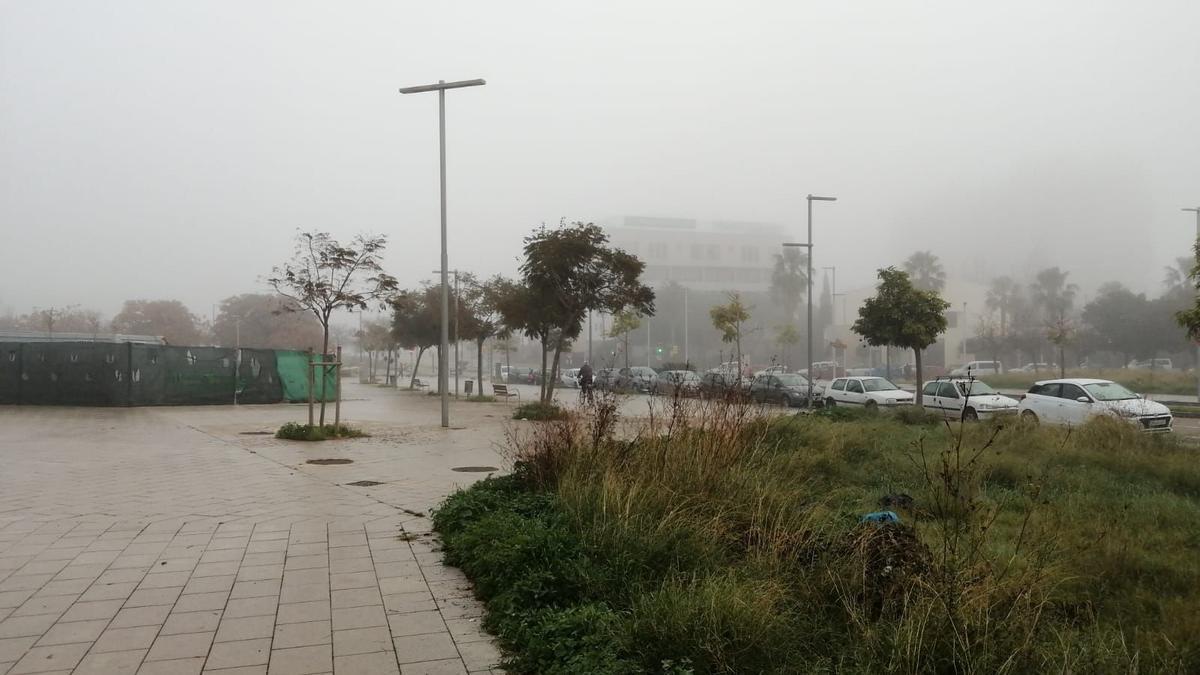 Nebel auf Mallorca: So sah es in Palma und Pòrtol am Mittwochmorgen aus