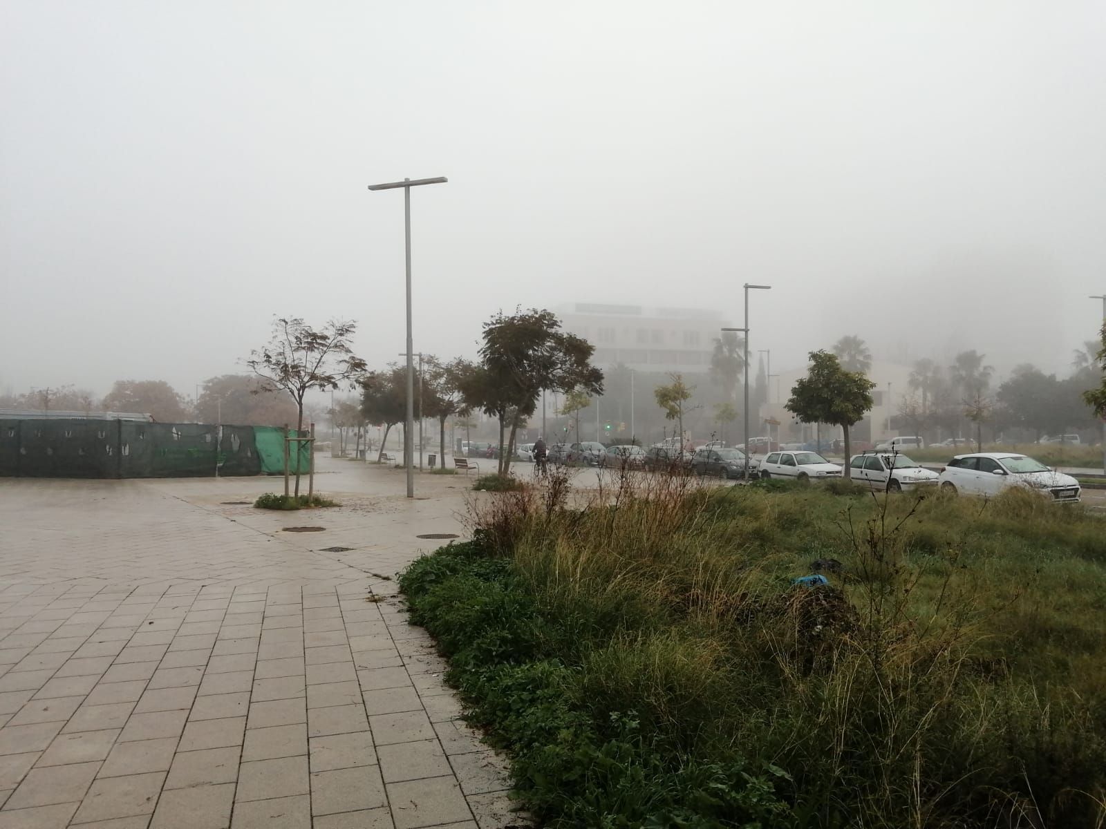 Nebel auf Mallorca: So sah es in Palma und Pòrtol am Mittwochmorgen aus