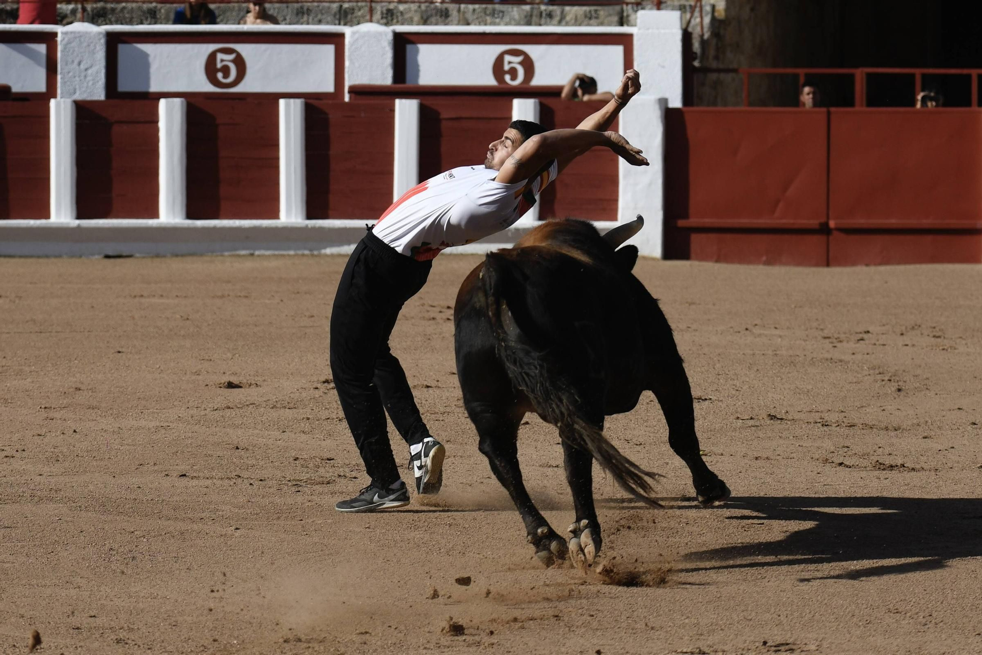 Concurso Recortadores San Pedro 2025