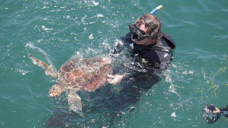 Liberan a dos tortugas marinas recuperadas en el Aula del Mar