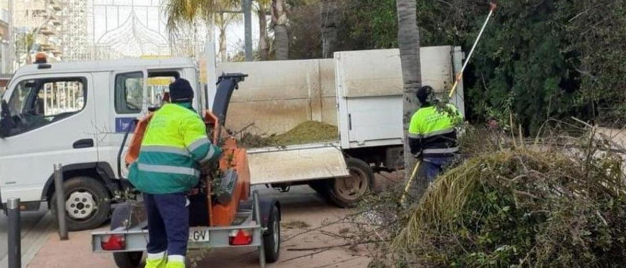 Unos trabajadores desarrollan labores de jardinería en la zona de les Amplàries, junto al complejo de Marina d’Or. | MEDITERRÁNEO