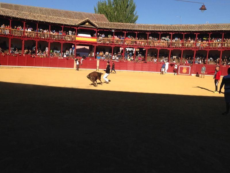 Toro de cajón y encierro urbano en Toro