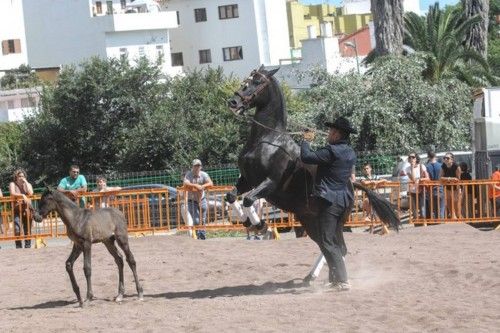 FERIA ROCIERA DE OCTUBRE EN TEROR