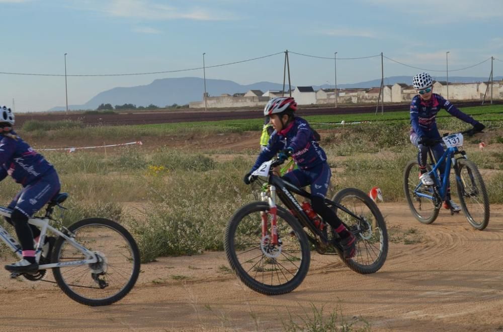 La Aljorra BMX