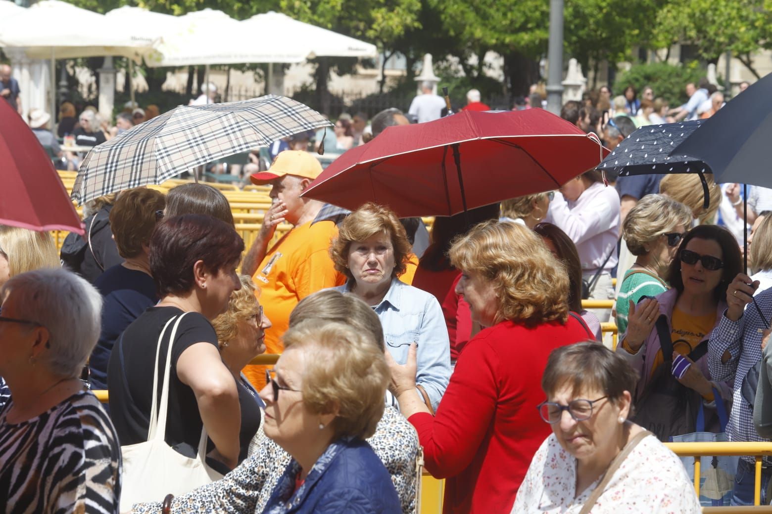 Comienza el Besamanos a la virgen pese al mal tiempo