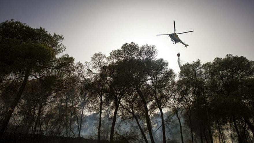 Una colilla provocó el incendio forestal de Llucmajor