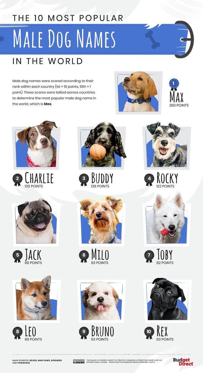 Nombres perros más populares