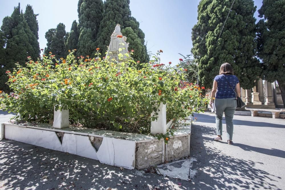 Visitantes critican la imagen actual del camposanto de la capital, que acumula falta de mantenimiento y de limpieza.