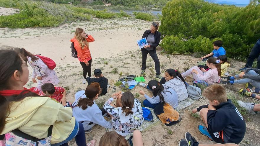 Educación ambiental en las playas de Mallorca: Los escolares se convierten en grandes aliados de la protección del entorno marino