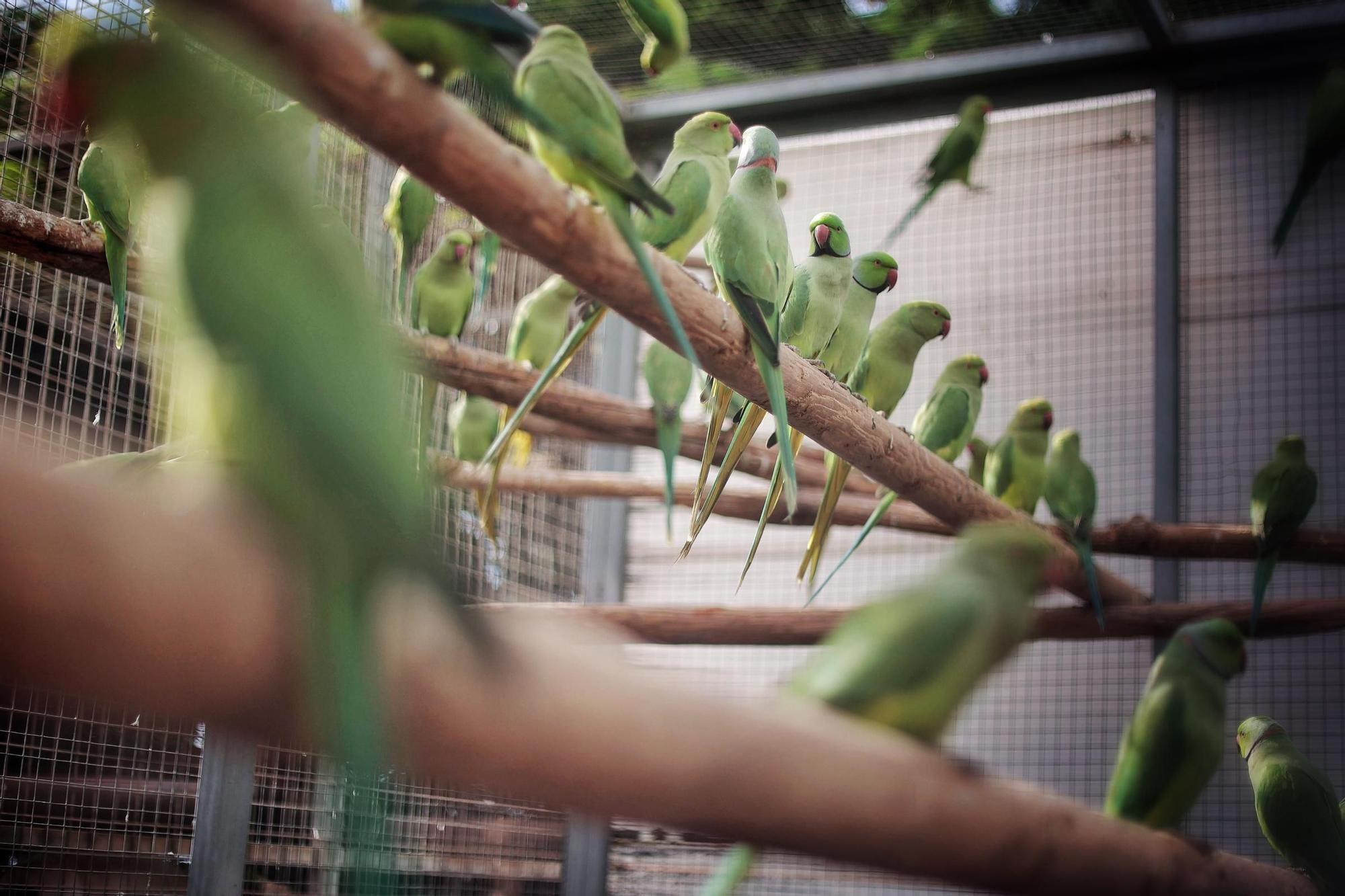 Centro de Fauna Exótica de Santa Cruz