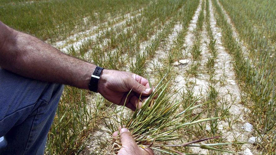 Los agricultores de Bajo Duero piden auxilio: &quot;No podemos sobrevivir sin regar&quot;