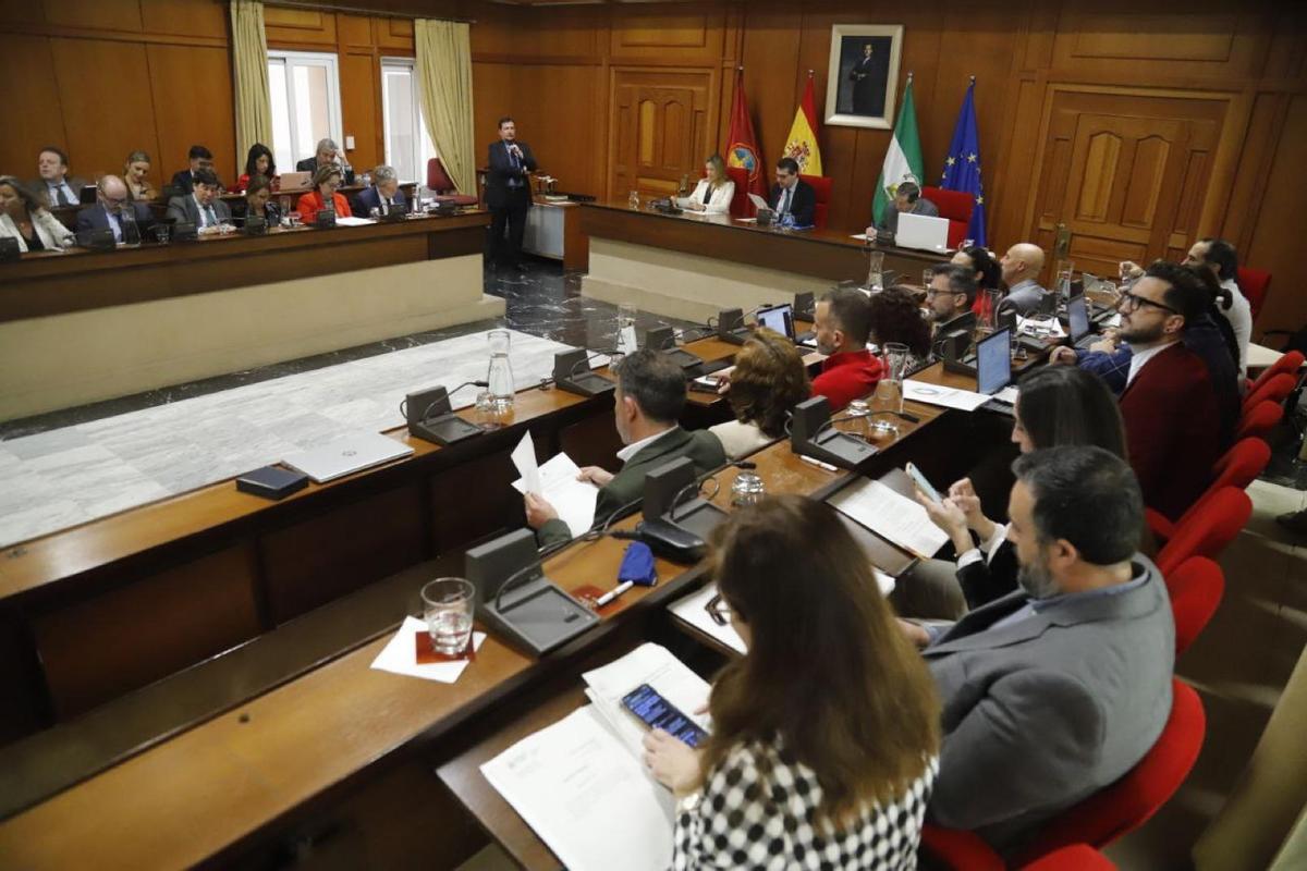 Imagen del Pleno de Córdoba.