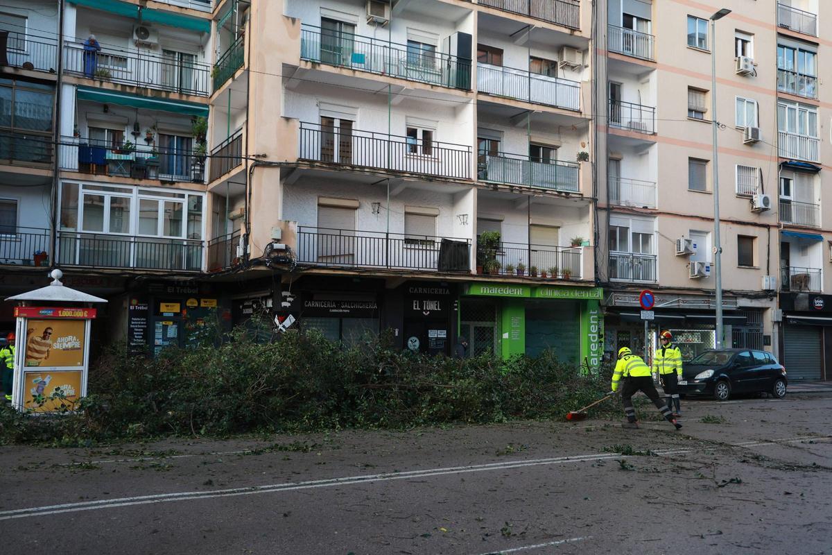 El drama de Médco Sorapán: la borrasca en Cáceres El drama de Médco Sorapán: la borrasca en Cáceres
