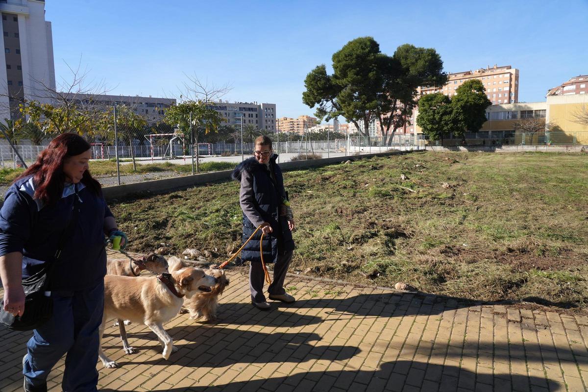 Terreno junto a los colegios, el PAU Censal.