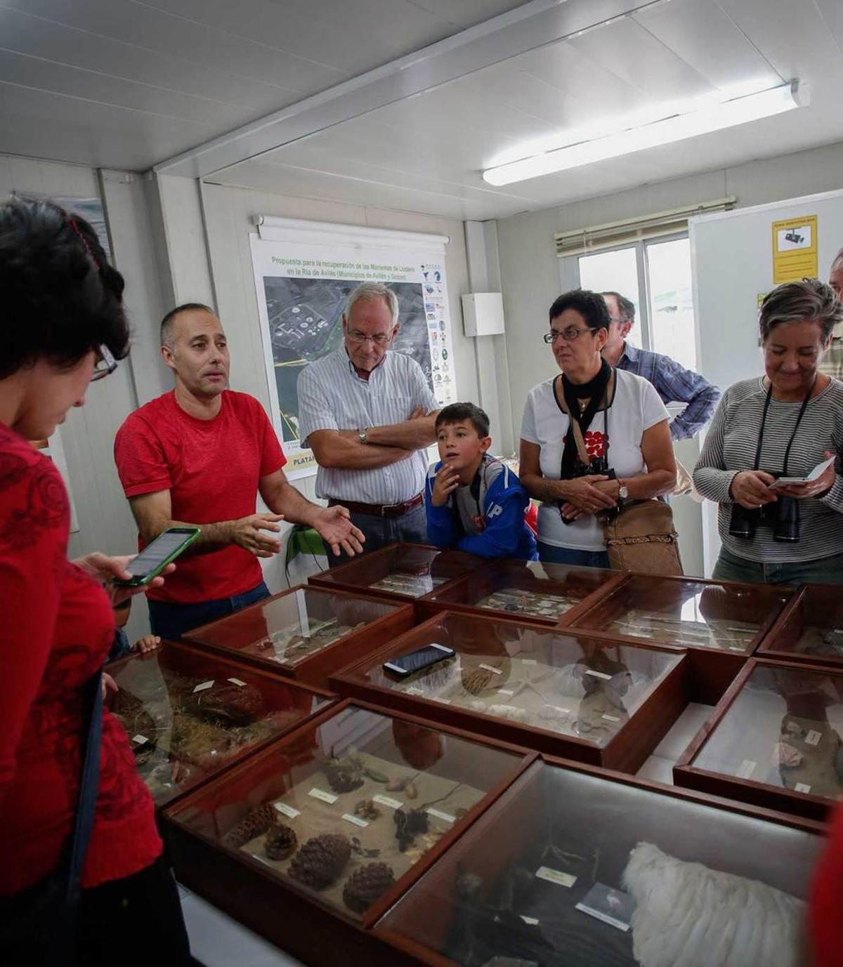 La garza real ya cría en la ría