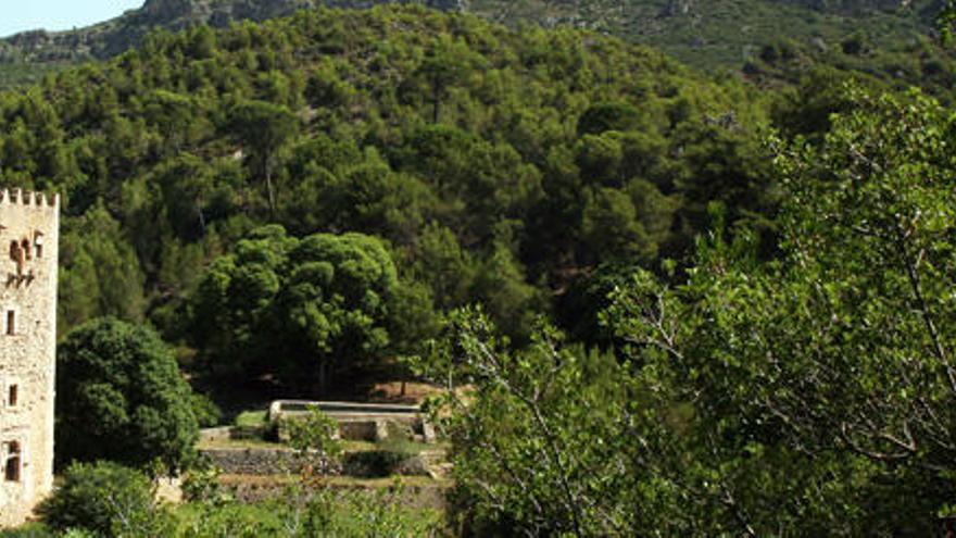 Paraje natural de La Murta, en la Ribera. Foto: Vicent M. Pastor