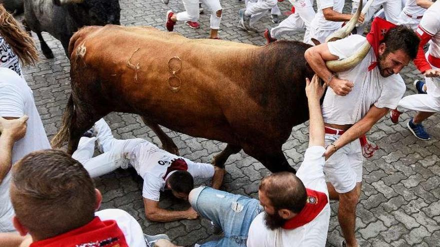 Un toro de la ganadería sevillana de Miura arrastra a un mozo a su paso por el callejón. // D. Fernández