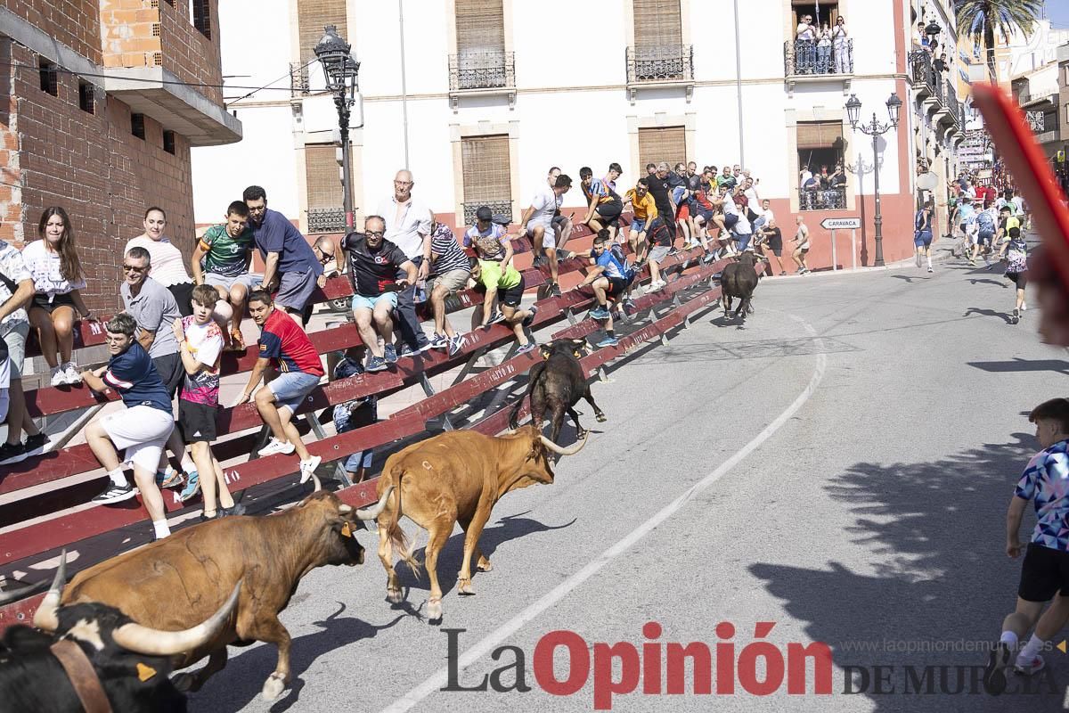 Sexto encierro de las Fiestas de Moratalla