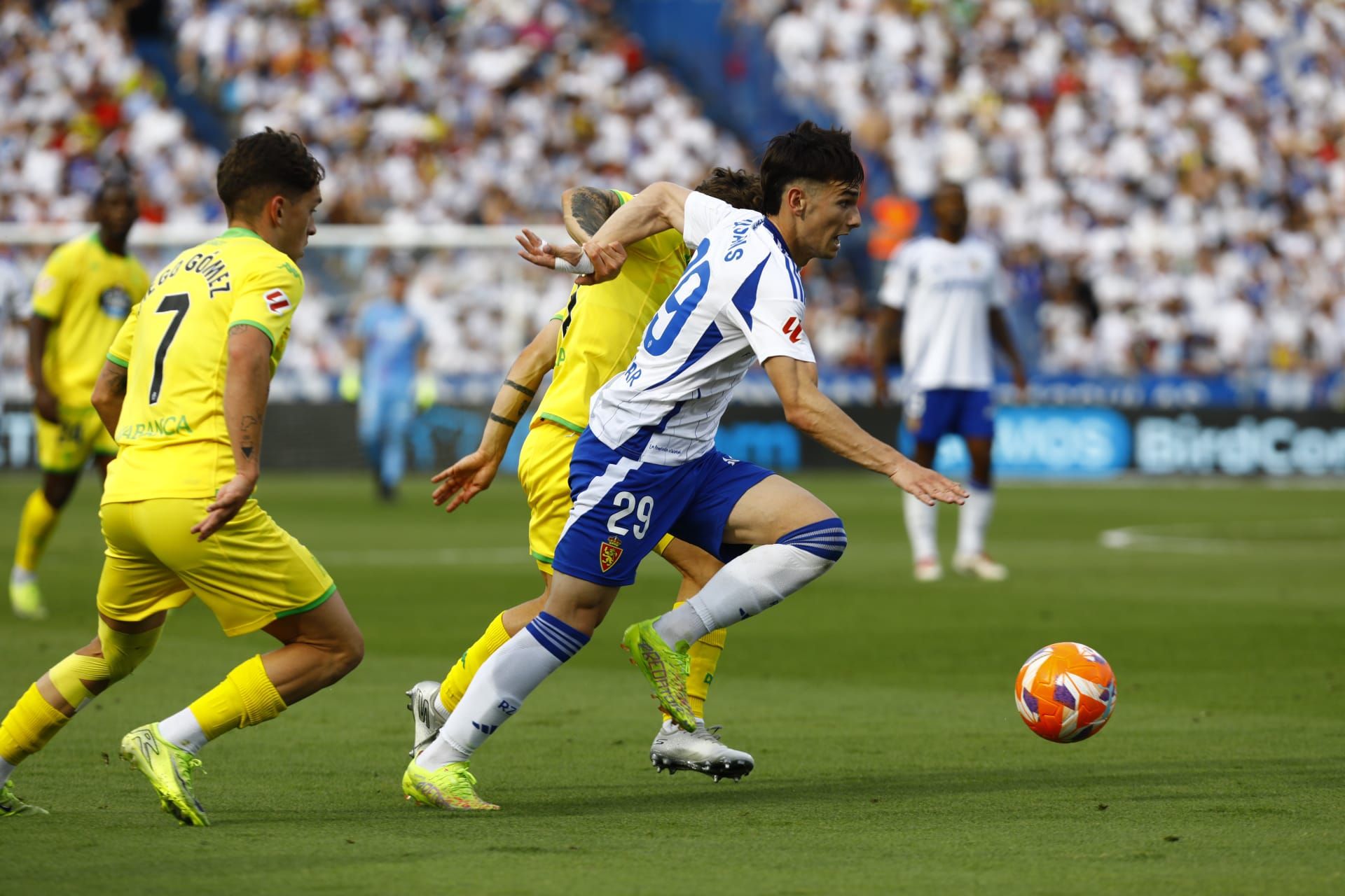 En imágenes | Real Zaragoza - RC Deportivo