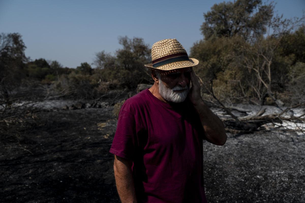 Las imágenes | Diez días de incendio en Jarilla: el adiós al paraíso verde Las imágenes | Diez días de incendio en Jarilla: el adiós al paraíso verde