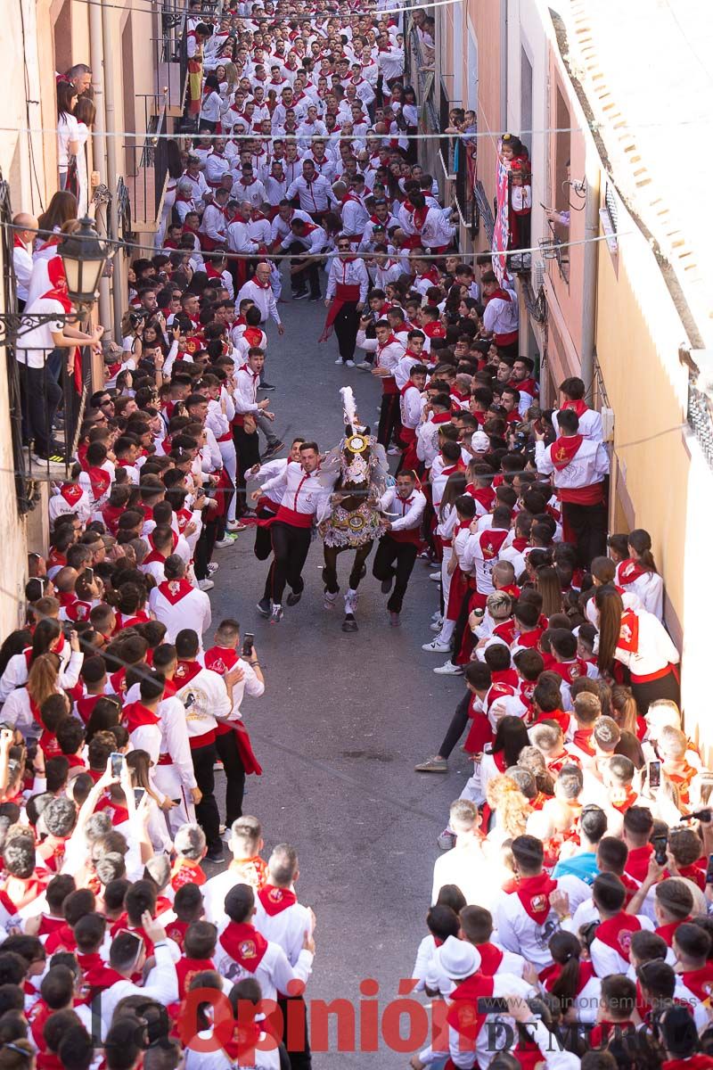 Caballos del Vino en la cuesta de la Simona