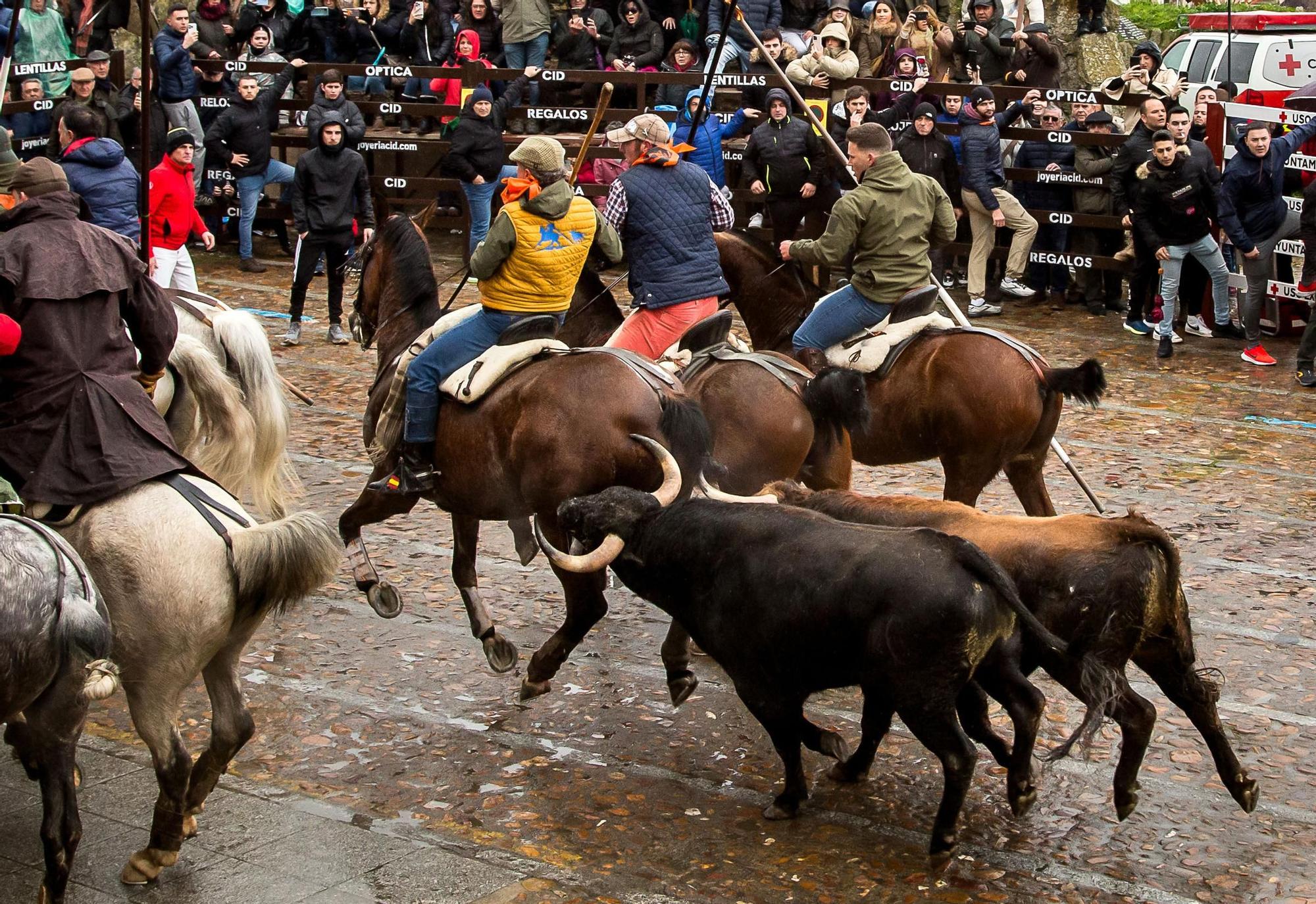 GALERÍA: El encierro a caballo del Carnaval del Toro, en imágenes