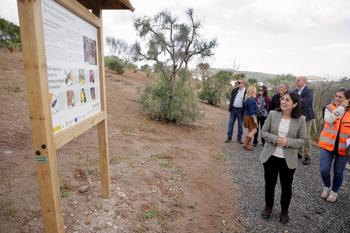 La alcaldesa, Carolina Darias, en uno de los paneles informativos del área de renaturalización de Hoya Andrea.