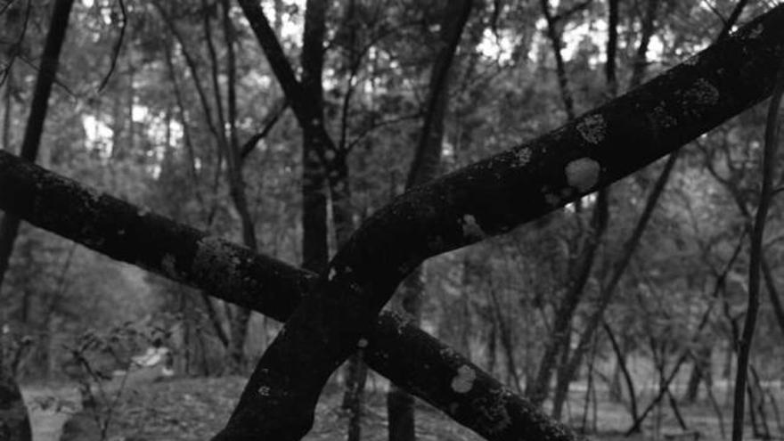 Una de las fotografías que se podrán ver en la exposición.