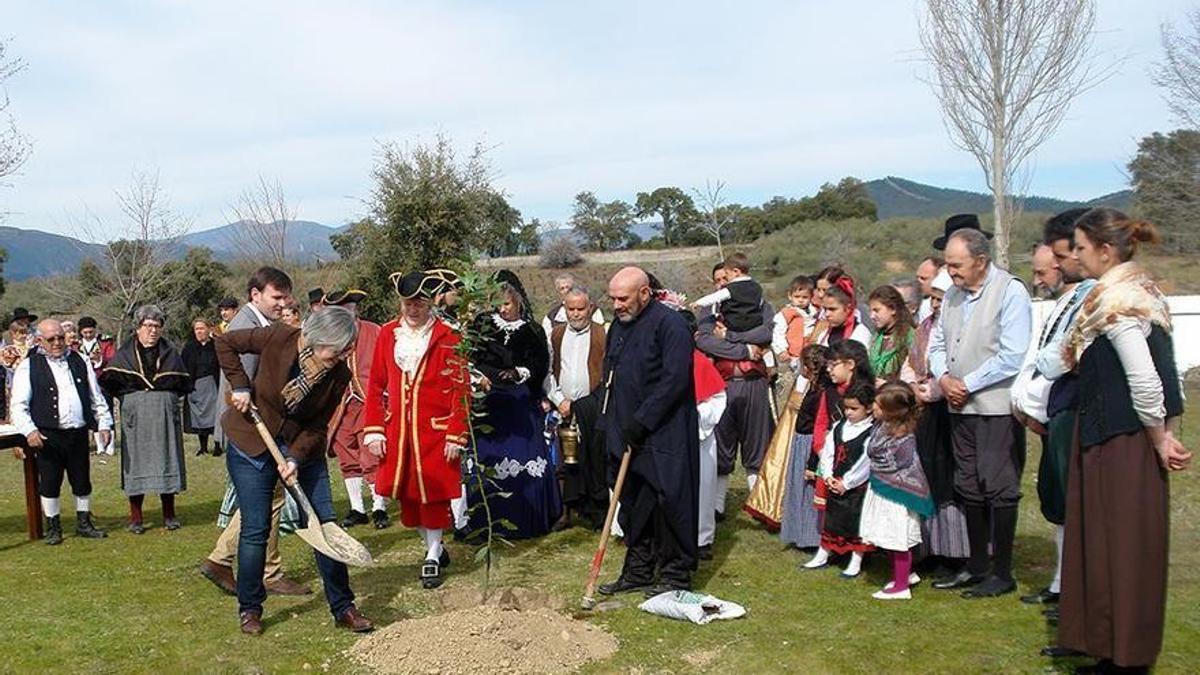 Imagen de la Fiesta del Árbol en 2021.