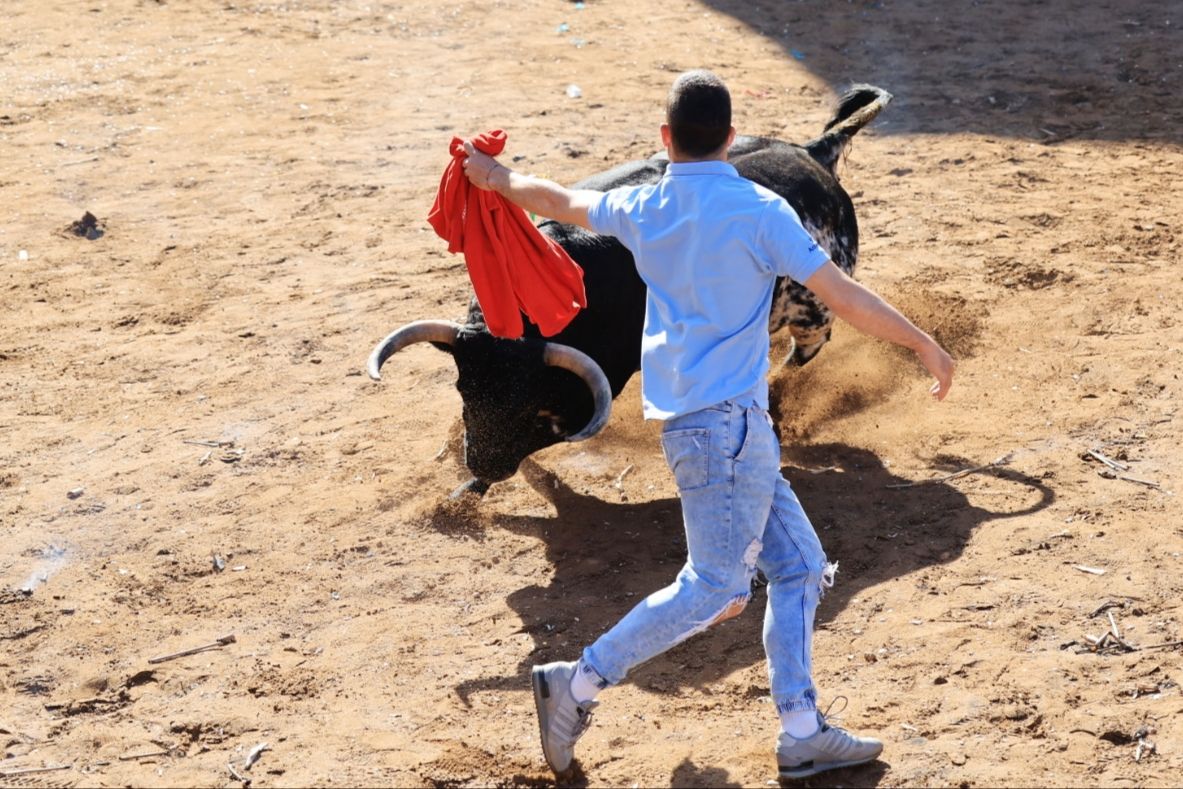 Las fotos de la tarde taurina del lunes de fiestas de Santa Quitèria en Almassora
