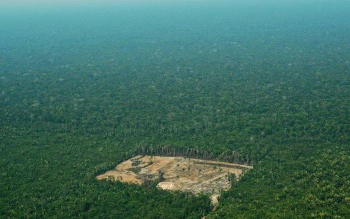 Deforestación por la tala ilegal en el Amazonas, en Brasil.