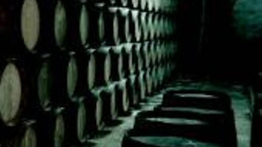 Cañamero, el arte del buen vino