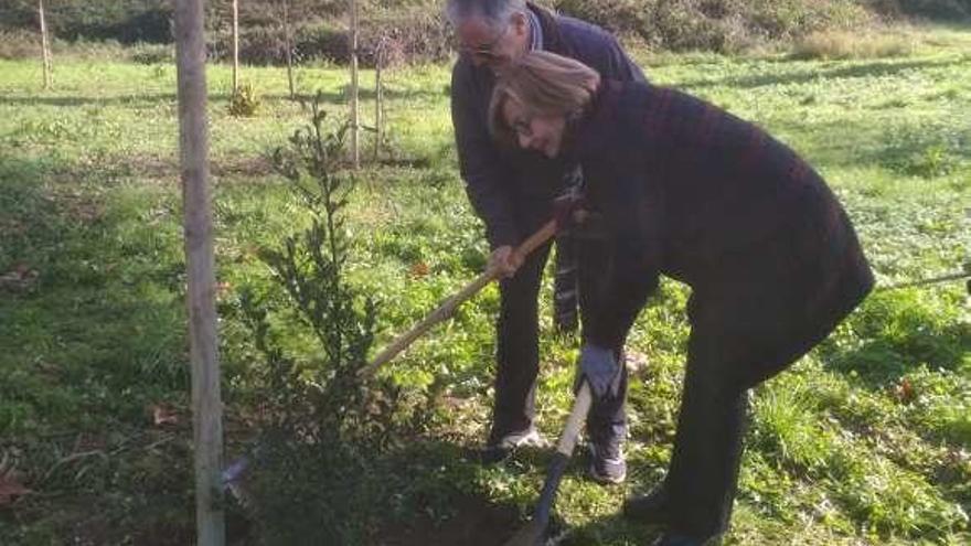 Mariví Monteserín y su tío José Mesa, plantando un acebo.