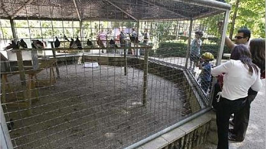 Les aus tornen a donar utilitat a les gàbies dels jardins, que estaven abandonades des d&#039;incis del 2007.