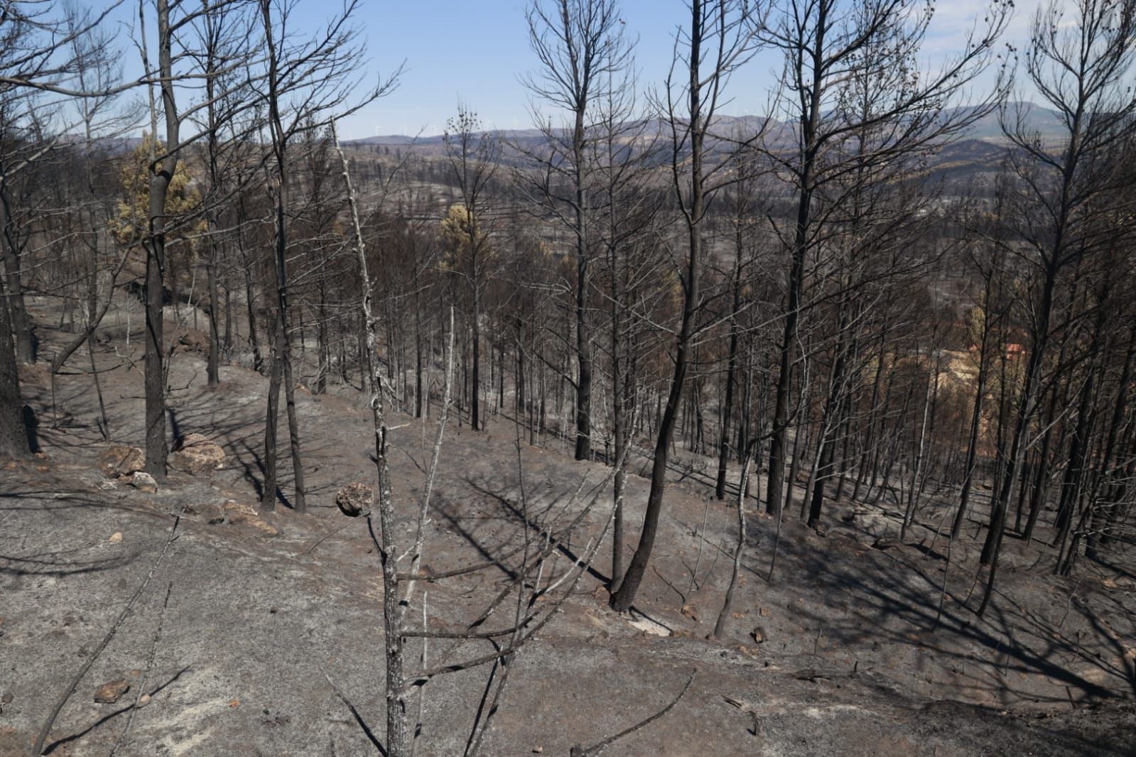 Las consecuencias del incendio de Bejís en Teresa