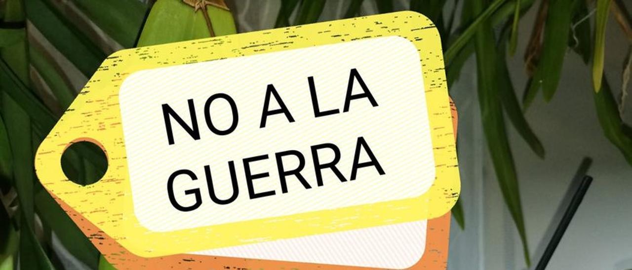 Expertos mundiales en orquídeas se reúnen en Burjassot - Levante-EMV