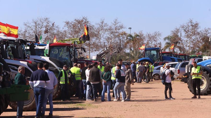 Las tractoradas de protesta llegan a Córdoba y se concentran en El Arenal
