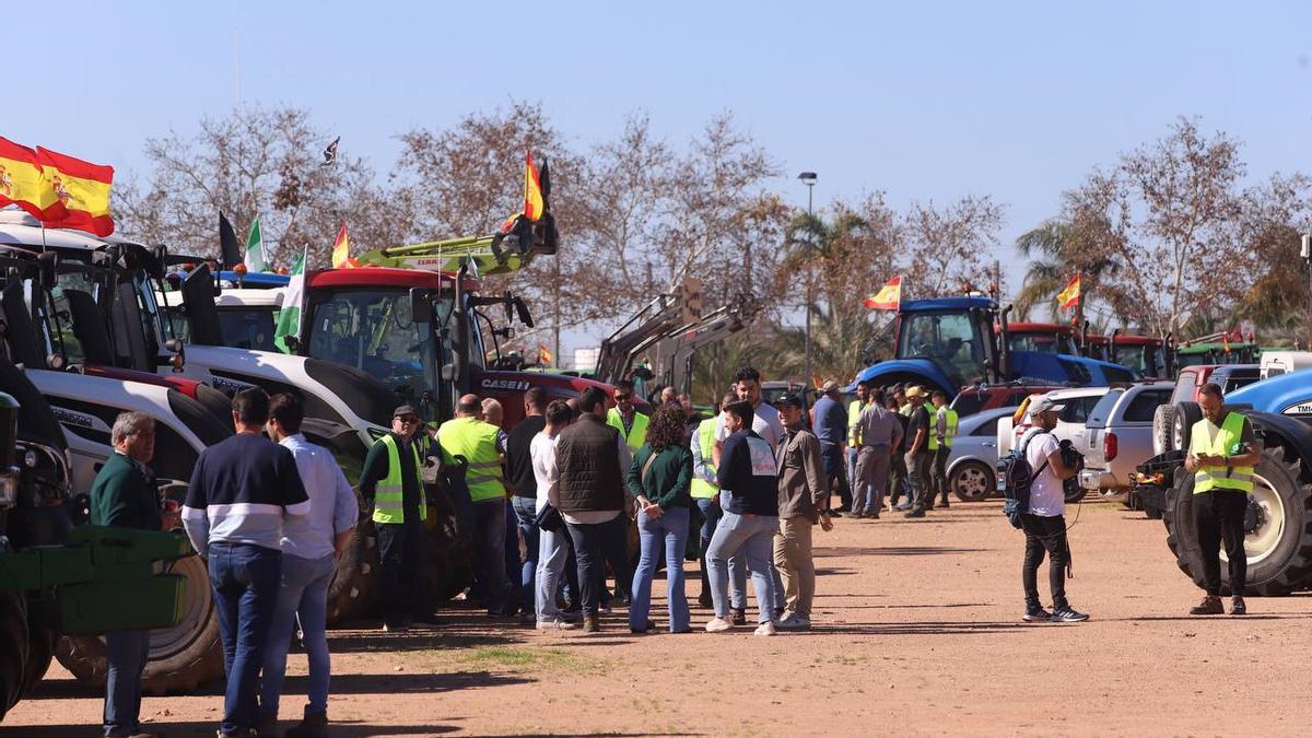 Agricultores con sus tractores, llegados de varios puntos de la provincia, en el recinto ferial de El Arenal, a las puertas de Córdoba.