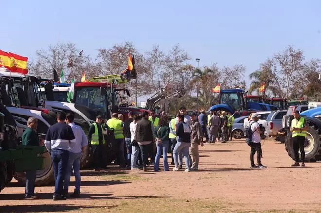 Las tractoradas de protesta llegan a Córdoba y se concentran en El Arenal