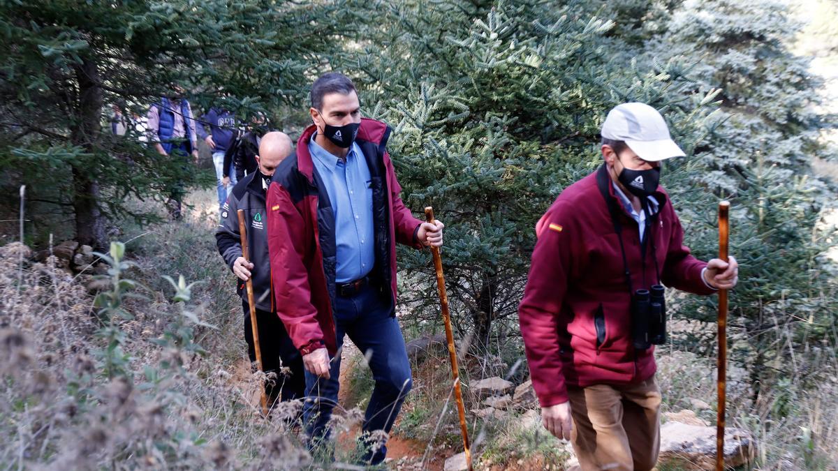 El presidente Sánchez visita la Sierra de las Nieves