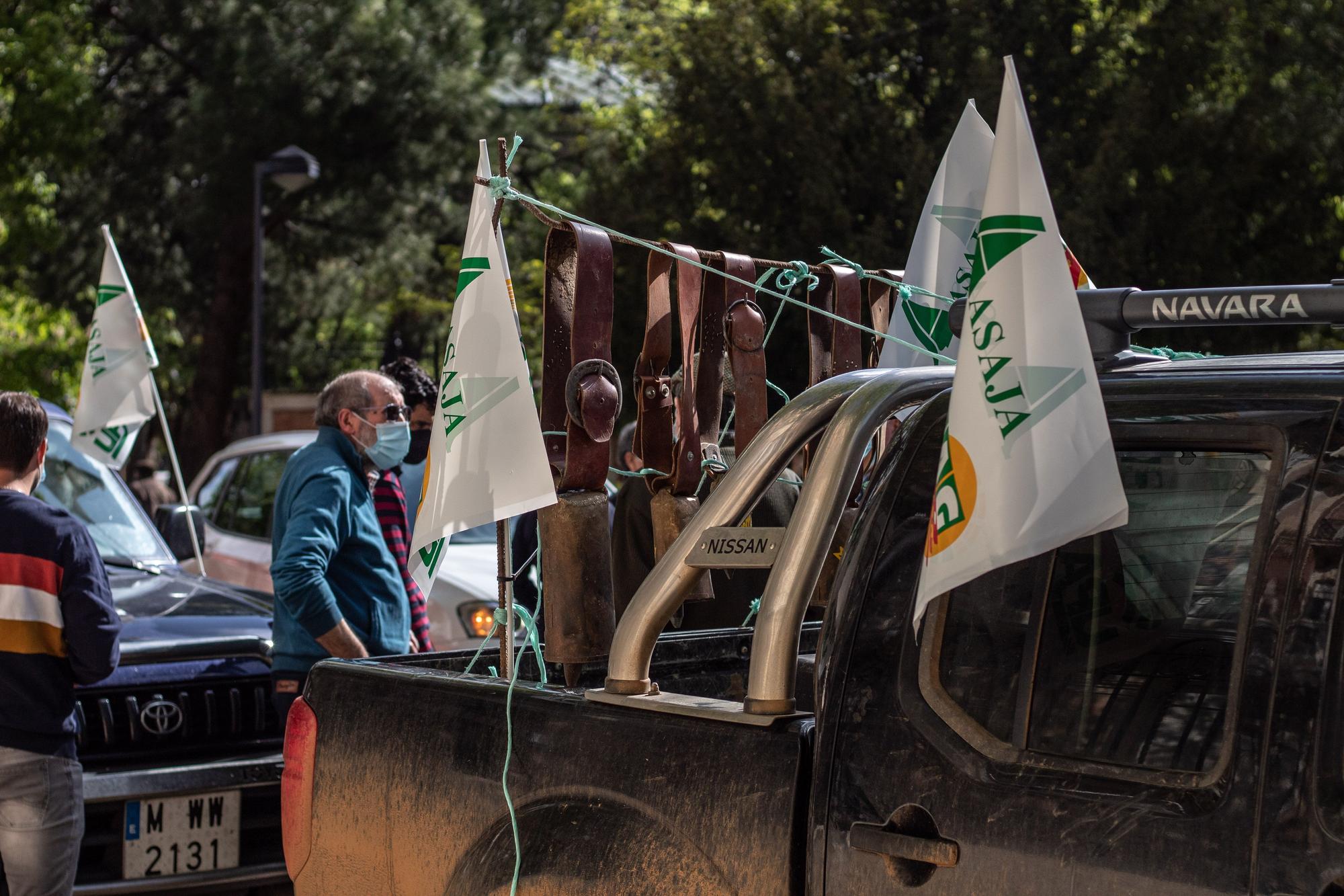 GALERÍA | Manifestación en contra de la "sobreprotección" del lobo ibérico