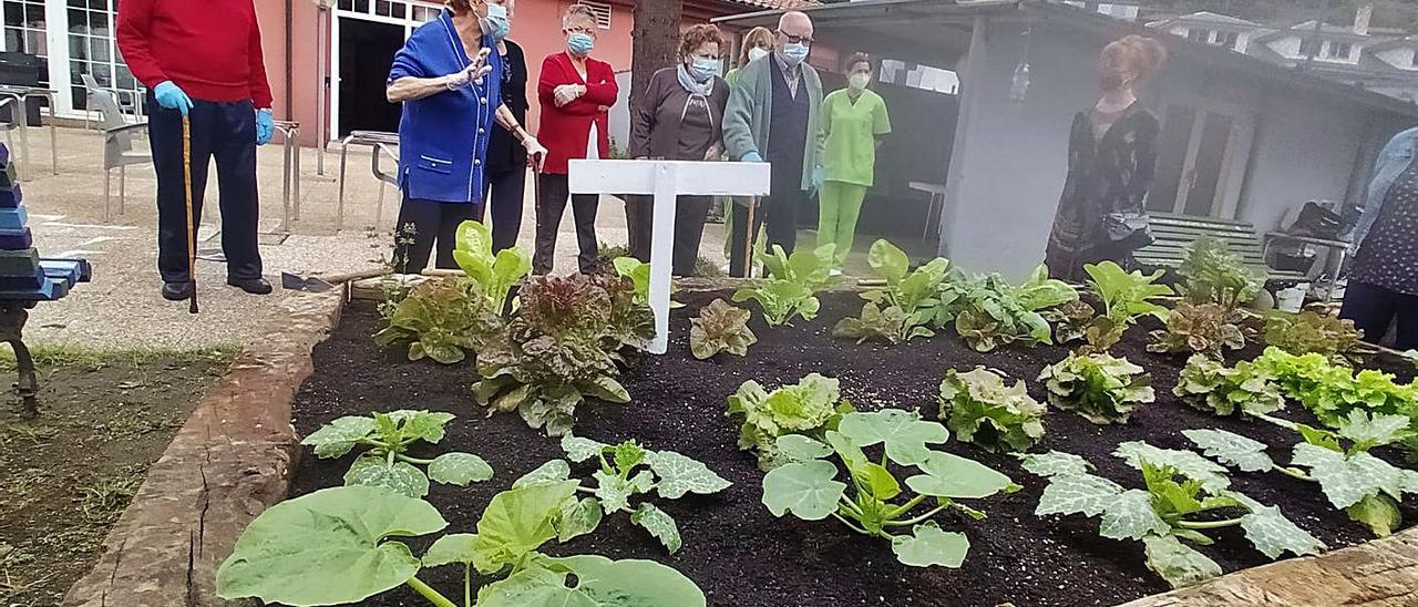 Piedad González, en primer término, explica el trabajo que se realiza en el ecohuerto. | D. M.