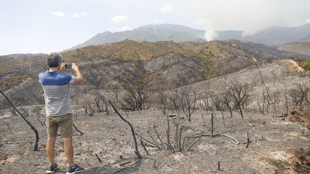 Un incendio en Sierra Bermeja provoca el desalojo de un millar personas en Estepona, Jubrique y Genalguacil