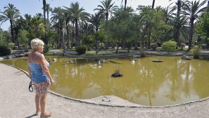 Una vecina de la zona observa con desazón una de las charcas del parque de los peces.