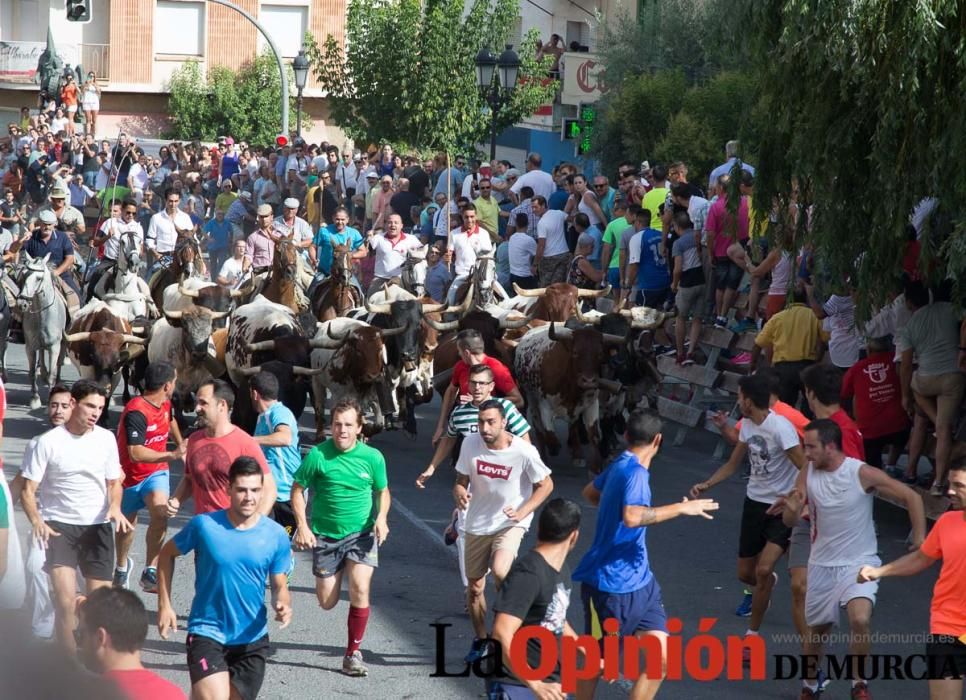 Quinto encierro en Moratalla