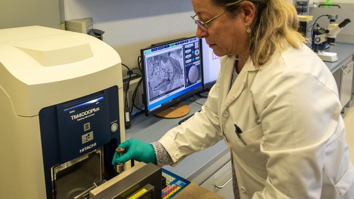 La doctora Antònia Costa utiliza el microscopio adquirido por estos investigadores de la UIB para analizar las muestras de cálculos renales.