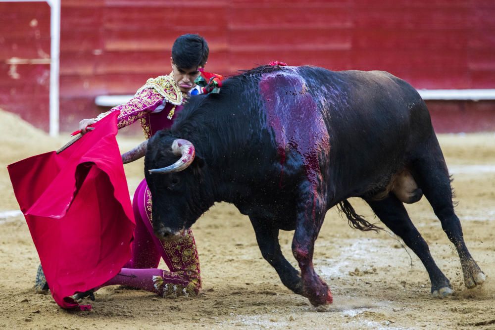 Feria de Fallas del 11 de marzo.