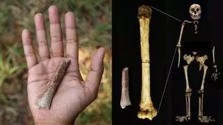 Encuentran el fósil de un 'hobbit' de menos de un metro que vivió hace 700.000 años en Indonesia