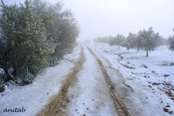 Las fotos de los cordobeses en la nieve